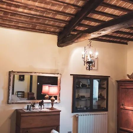 Domus Bononiae * Bagnoregio