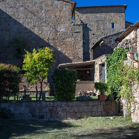 Domus Bononiae * Bagnoregio