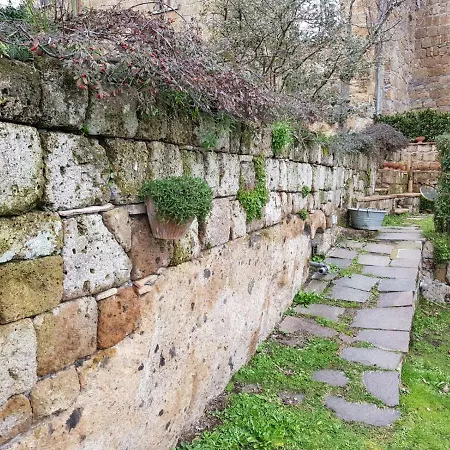 Domus Bononiae *