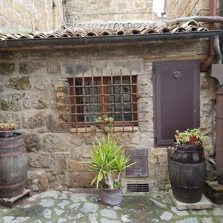 Domus Bononiae * Bagnoregio