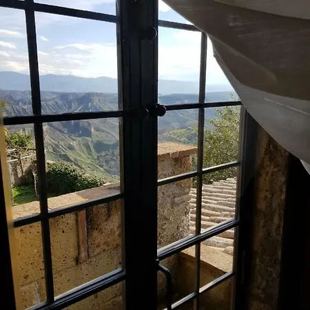 Domus Bononiae * Bagnoregio