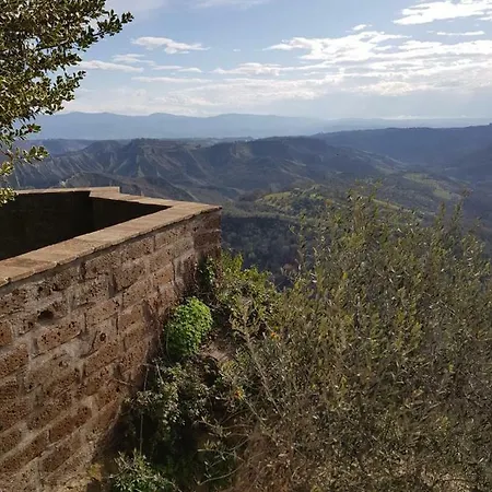 Domus Bononiae *